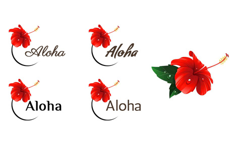 Les premières itérations 