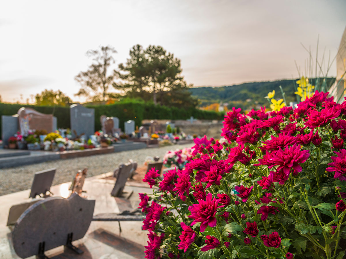 🆕 A tailor-made intranet for Maison Burg